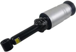 Air Suspension Strut, Front, Land Range Discovery,