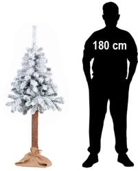 SPRINGOS Ct0201 Havas Fenyő Törzsen 160 Cm (ct0201)