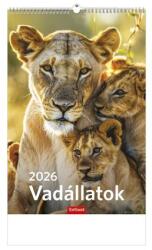 TopTimer Naptár, fali, TOPTIMER Vadállatok (NKT09408U) - iroda24