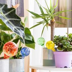  InnovaGoods automatikus virágöntöző viráglocsoló vízadagoló gömbök profi minőségű színes mix (4db) BALLWOOTERS