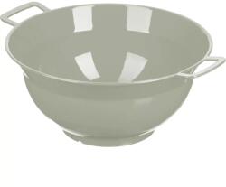 Miraplast Castron din plastic cu mânere, corai/salvie, variante diverse, Conținut: 6, 00 litri Castron
