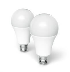 Entac LED Globe E27 18W NW 4000K Duo Pack (LLG27-18W-NW-2P) (LLG27-18W-NW-2P)