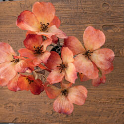 Magnolia csokor, 44cm magas - Narancssárga (AF176-02)