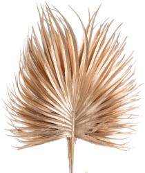Valex Decor Metál arany pálmalevél köteg, 6 szálas, 33cm magas, 20cm széles (AF097-01)