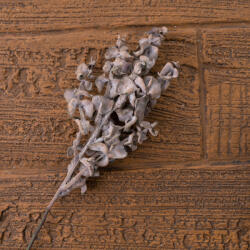 Valex Decor Eukaliptusz ág, 44cm magas - Púder barna (AF175-03)