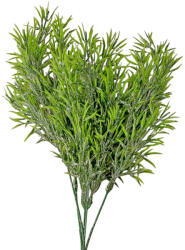 Valex Decor Hamvas aszparágusz csokor, vastaglevelű, 38cm magas (AF083-01)