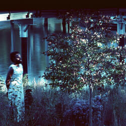 Jjjjjerome Ellis Vesper Sparrow - facethemusic - 13 790 Ft