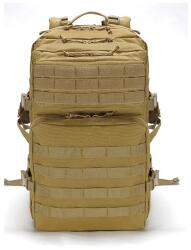 DRAGOWA Tactical DRAGOWA Rucsac tactic US Flag Moll 3P, Coyote Rucsac tura