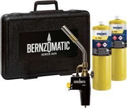 Bernzomatic Set arzator Bernzomatic (379725)