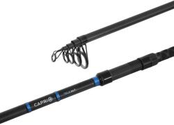 Delphin CAPRI Tele NXT (101003110)