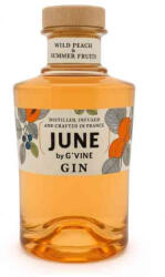 June Wild Peach & Summer Fruits gin 0, 7l 37, 5% DRS