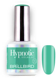 BrillBird TPO FREE Hypnotic HEMA Free Gel&Lac 8ml 210