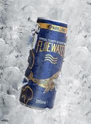 FloeWater Ásványvíz, szénsavas, 250 ml, FLOEWATER (KHI514V)