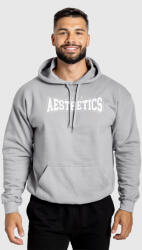 Iron Aesthetics Férfi kapucnis pulóver Iron Aesthetics Frontline, szürke: 2XL Szürke