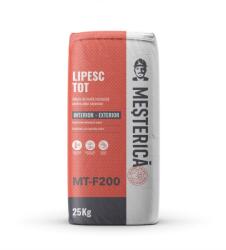 Mesterica Adeziv Pentru Placi Ceramice Mesterica Lipesc Tot Mt F200 / 25Kg (MT F200)