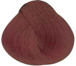 ALFAPARF Milano Alfaparf Evolution hajfesték 60ml 6MRB