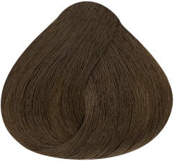 ALFAPARF Milano Alfaparf Evolution hajfesték 60ml 7 NI