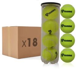 Tecnifibre Training (72 db/karton) teniszlabda (62TRAINING72)