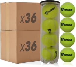 Tecnifibre Training (288 db) teniszlabda (62TRAINING288)