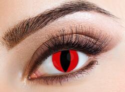 Eyecasions Havi kontaktlencse - Red Cat