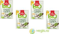 AMYLON Pachet Zahar Vanilat Ecologic/Bio 4x8g