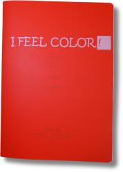  Caiet A5 I FEEL COLOR, 48 file, 70g, matematica