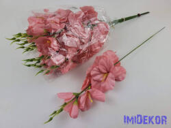  Szálas kardvirág 55 cm AUT - Fáradt Rózsaszín