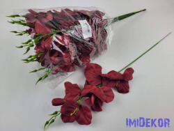  Szálas kardvirág 55 cm AUT - Bordó