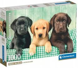 Clementoni - Puzzle Three Labs - 1 000 piese