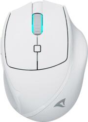 Sharkoon OfficePal M25W White