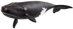 Schleich Animal Balena nord-atlantică (14878) Figurina