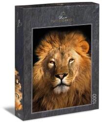 Ulmer King’s Portrait 1000 db-os (1241)