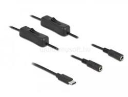 Delock USB Type-C apa 2 db. DC 5, 5 x 2, 1 mm anya csatlakozójú, 1 méter hosszú kábel (DL86800) (DL86800)