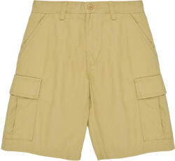 Vans Pantaloni scurti și Bermuda Băieți SERVICE CARGO SHORT Vans Bej US 30