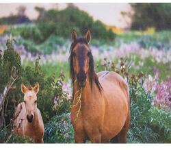 Mikroszálas törlőkendő (M-42)