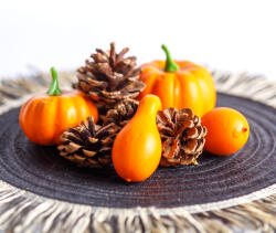  Őszi dekoráció - tök és toboz szett - 9 részes - 5-7 cm 59004 (59004)