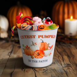  Őszi dekoráció - fém kaspó, vödör - tökös - 15 x 13, 7 cm 59033A (59033A)