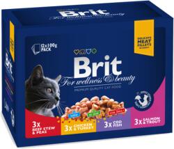 Brit Premium Cat Pouches Familiy Plate Poultry&Fish 12X100G