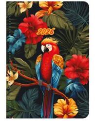 TopTimer Naptár, tervező, B6, heti, TOPTIMER, Joy flexi , papagáj (26T012F-001)