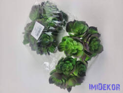  Kövirózsa 5 fejes gumis pozsgás 10 cm - Sötétlő Zöld