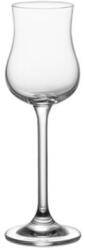 Tescoma Rumos/grappás pohár 110 ml üveg CHARLIE 306419.00 (306419.00)