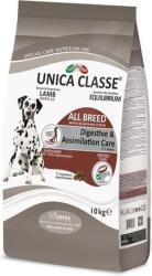 Unica Classe Adult Medium Equilibrium 2x10 kg