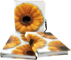 Tradag Gerbera duó (0100_8004D)