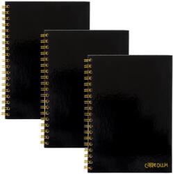Pukka Pad Spirálfüzet, B5, vonalas, 80 lap, FSC, PUKKA PAD Carpe Diem, fekete (PUP9375) (PUP9375)