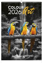 TopTimer Falinaptár TOPTIMER T092 315x450mm álló Colour Art 2026. T9200-12A (T9200-12A)