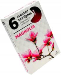 ADMIT Paraffinos teamécses Magnolia Admit 6 db Illatosító (447)