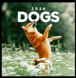 Notique Lemeznaptár 30x30 cm Dogs 2027 (RS6097DO)