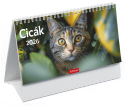 TopTimer Asztali Naptár Álló Cicák Papír Hátlap 2026 (26T585P00P)