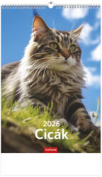 TopTimer Falinaptár 22x32 cm Cicák 2026 (26T940011A)