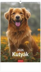 TopTimer Falinaptár 22x32 cm Kutyák 2026 (26T940010A)